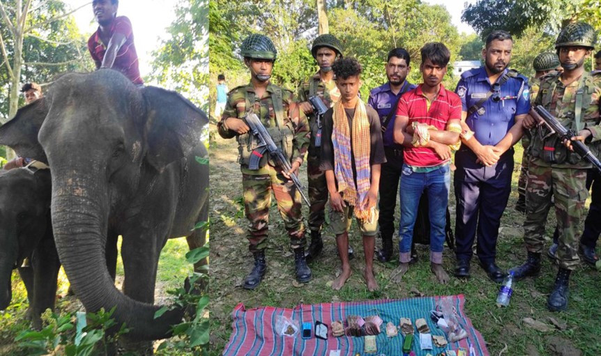 কুমিল্লায় হাতি দিয়ে চাঁদাবাজির সময় ২ জনকে আটক করেছে সেনাবাহিনী